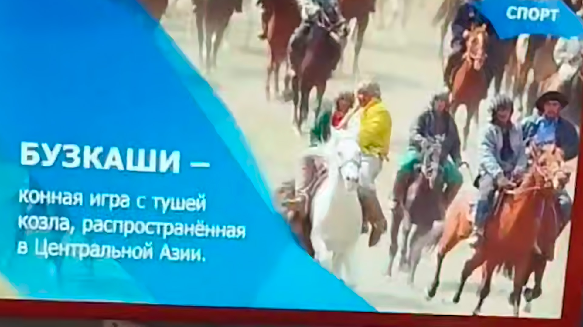 Среднеазиатскую игру с тушей козла вместо мяча показали во владимирском автобусе