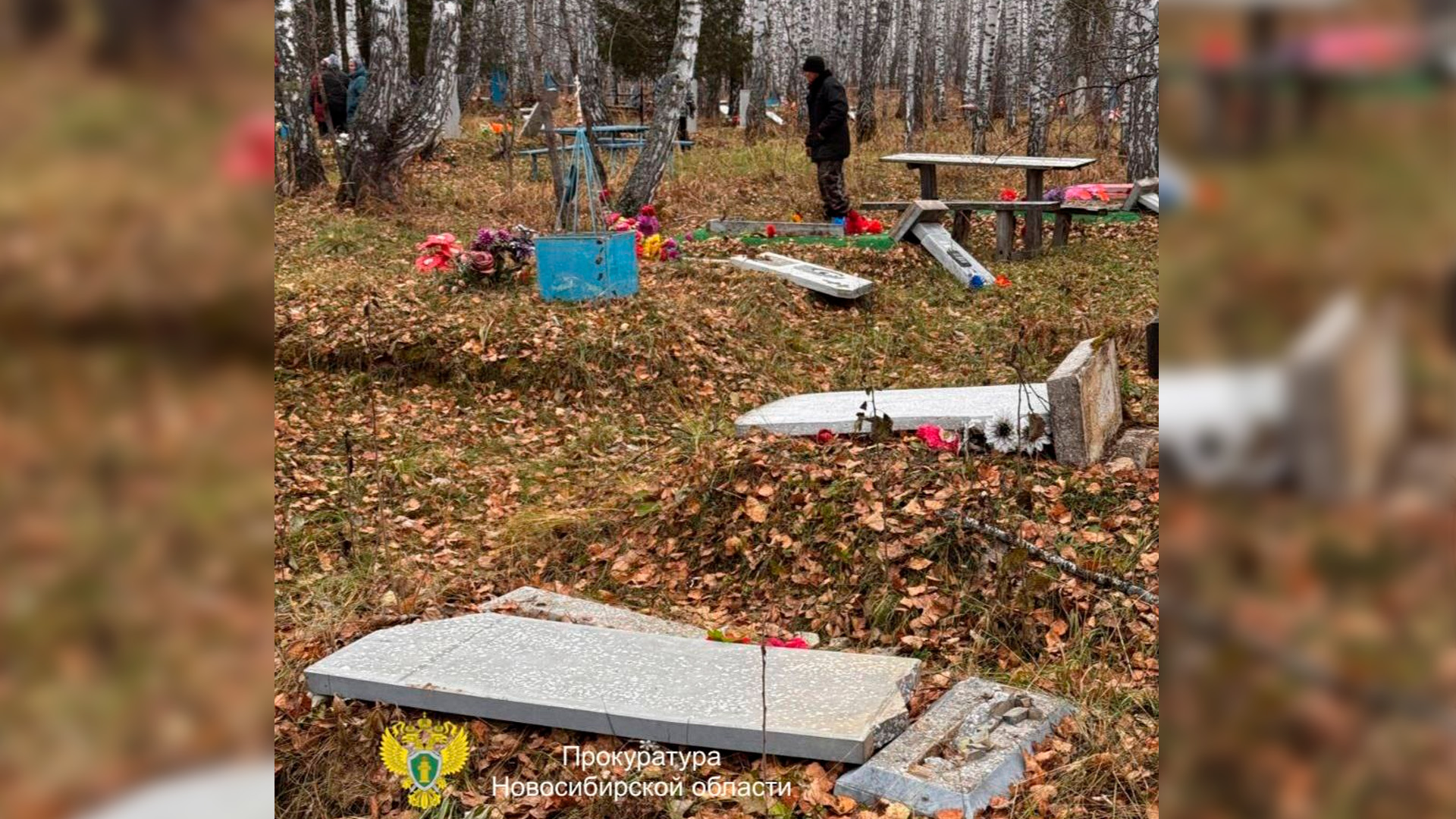 Дети устроили погром на кладбище в Новосибирской области