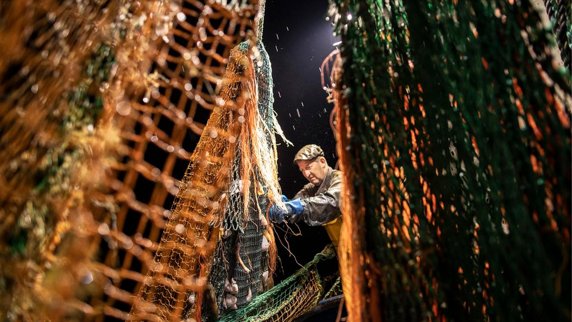 Украина начала использовать старые рыболовные сети для защиты от БПЛА