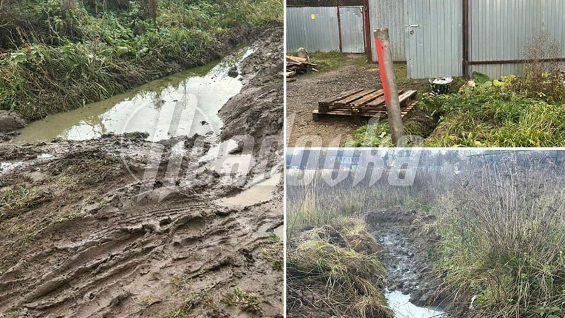 Более 20 мигрантов замучили жителей Подмосковья едким дымом от мусора