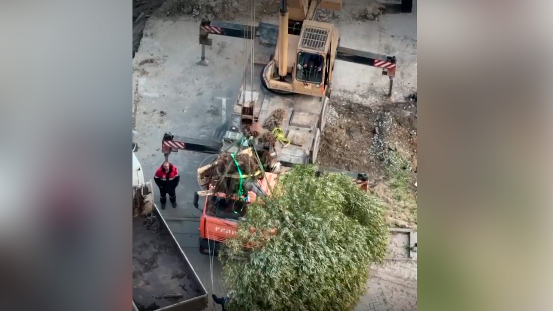 Жители Тюмени разоблачили фальсификацию документов при строительстве