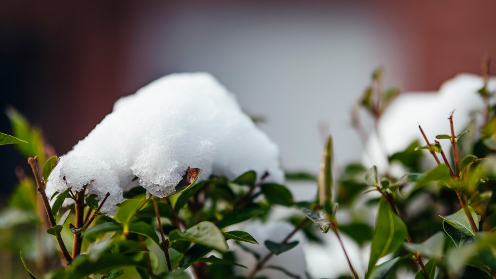 Москвичам рассказали о приближающемся снеге к концу недели