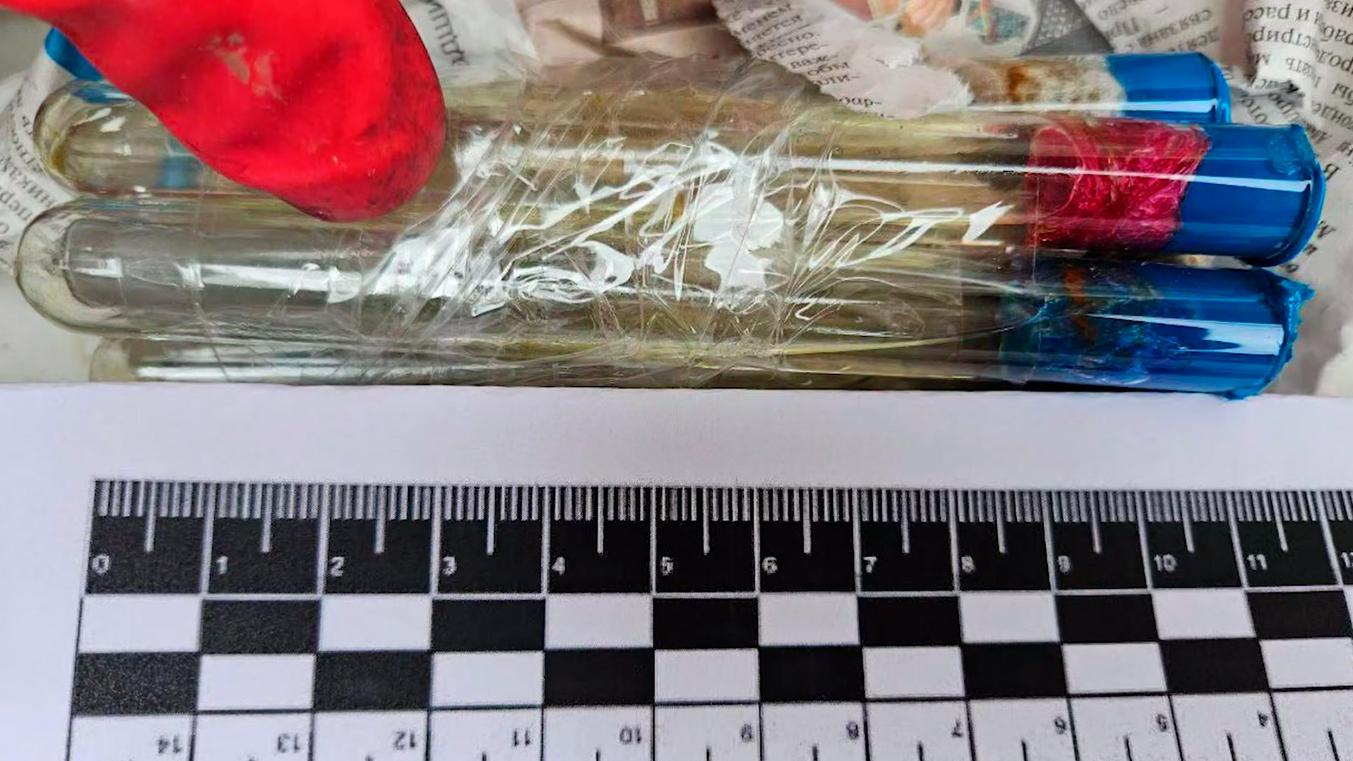 Тайник ВСУ с химоружием обнаружили под Красноармейском