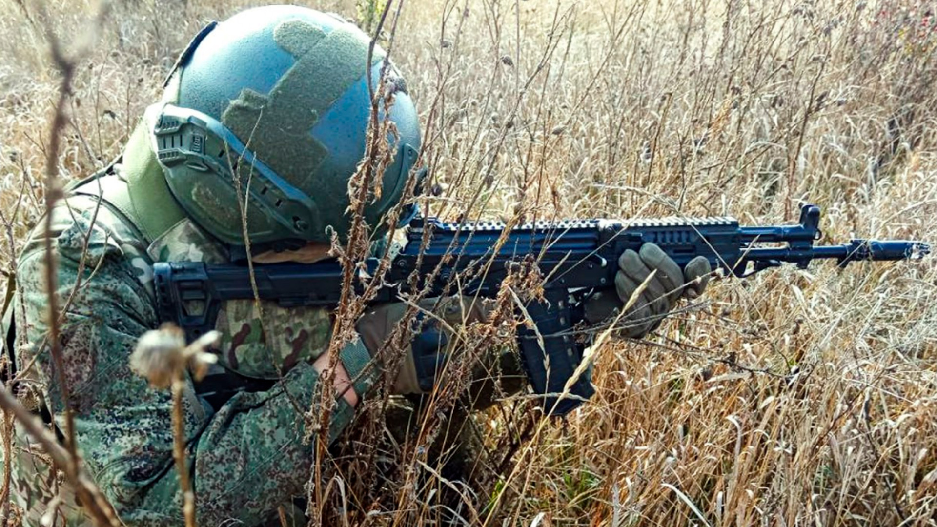 МО РФ официально подтвердило освобождение Димитрова в ДНР
