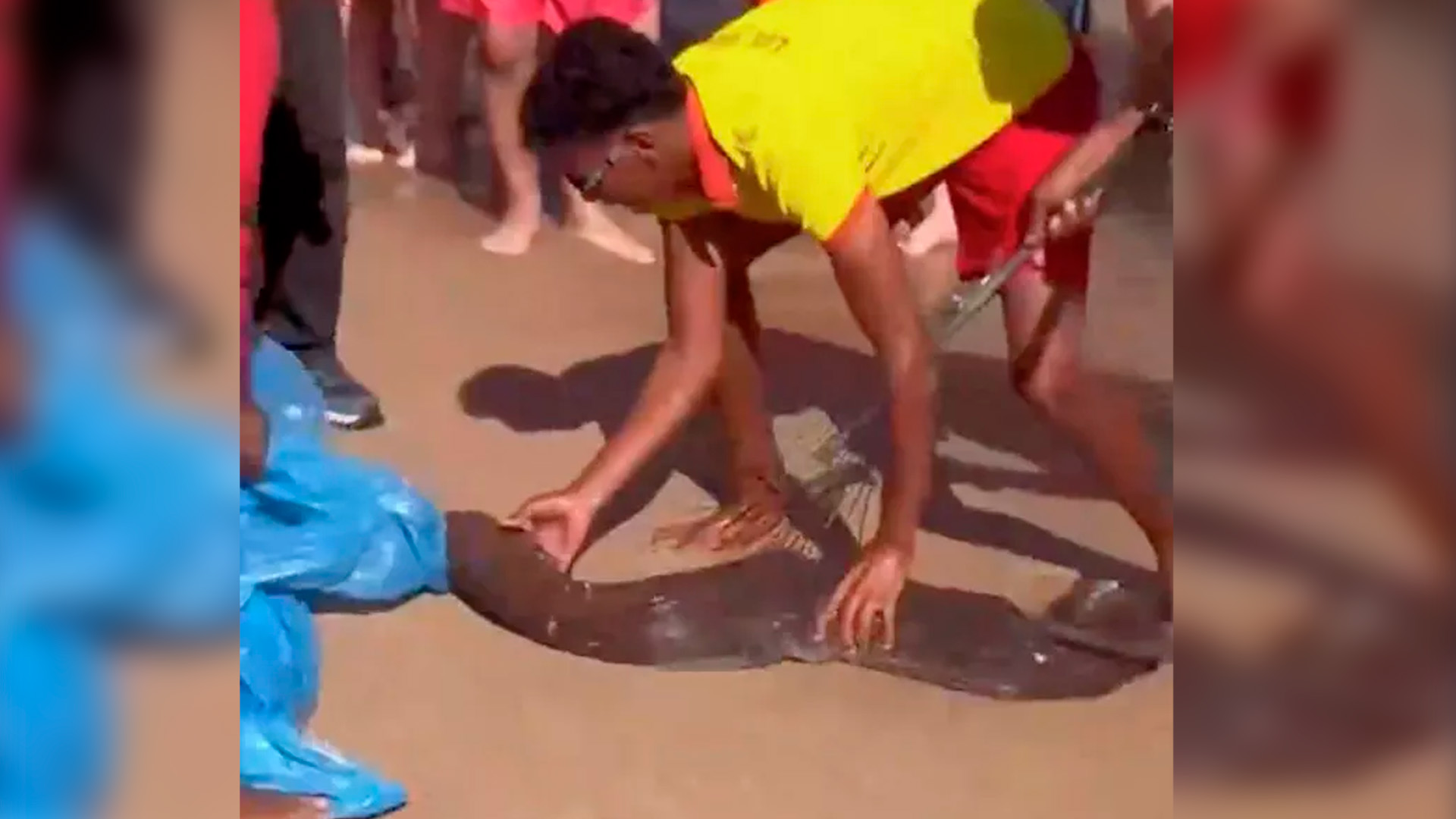 Огромная мурена напала на туриста на пляже в Египте