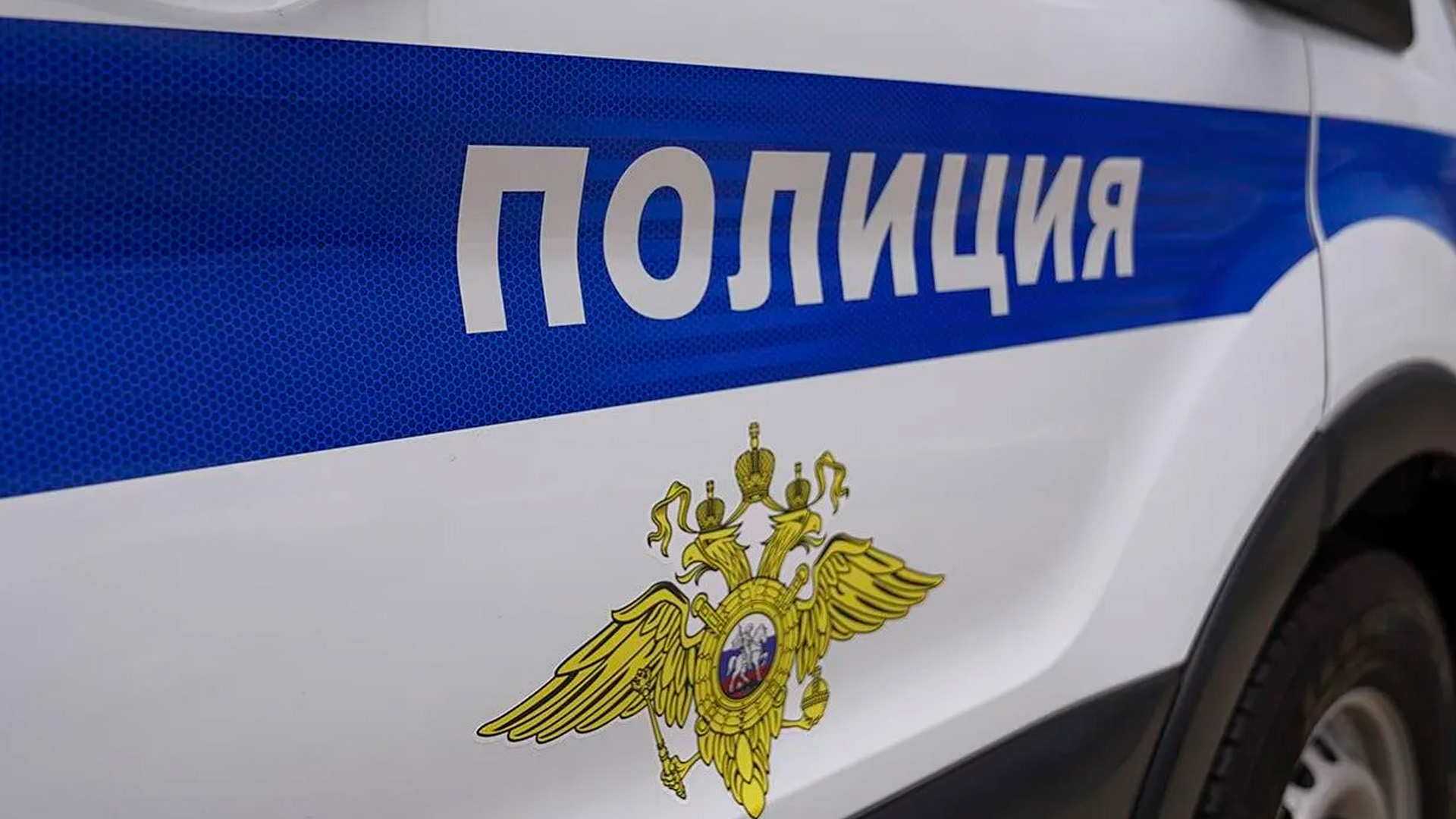 СПЧ потребовал удалить фото и видео убийства школьника в Одинцово