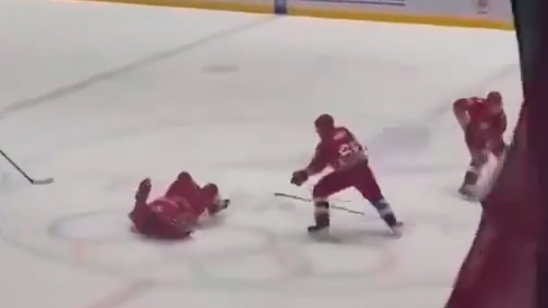 Лукашенко сбили с ног во время хоккейного матча в Минске