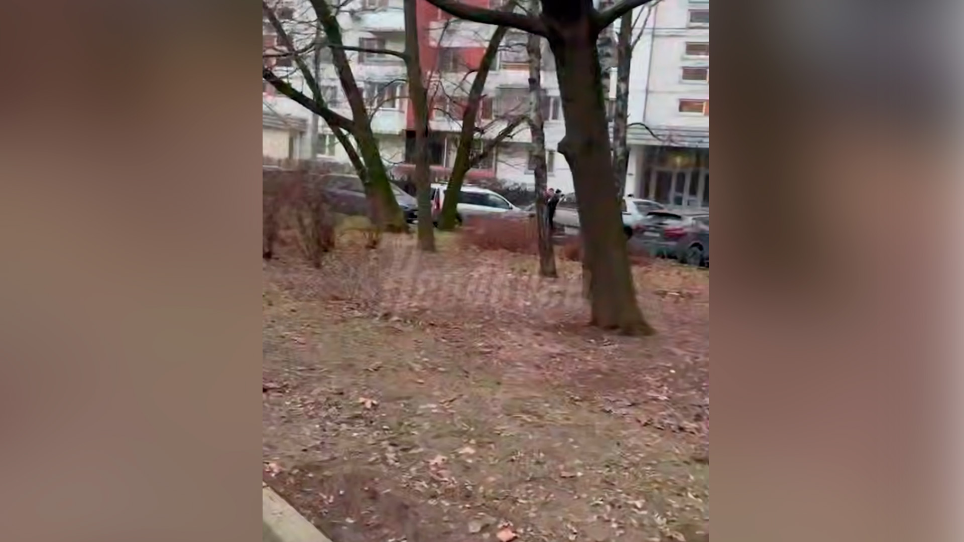 Неизвестные устроили стрельбу во дворе жилого дома на западе Москвы