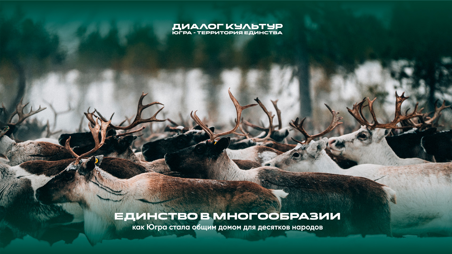 «Единство в многообразии: как Югра стала общим домом для десятков народов»