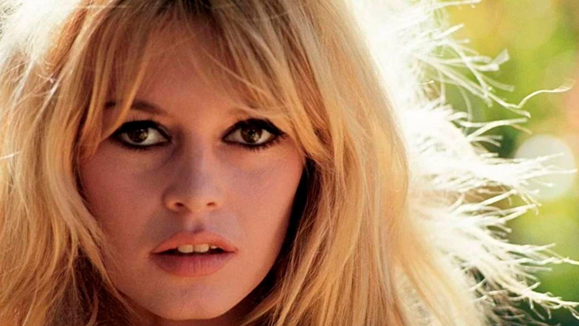 Ушла из жизни известная французская актриса Брижит Бардо