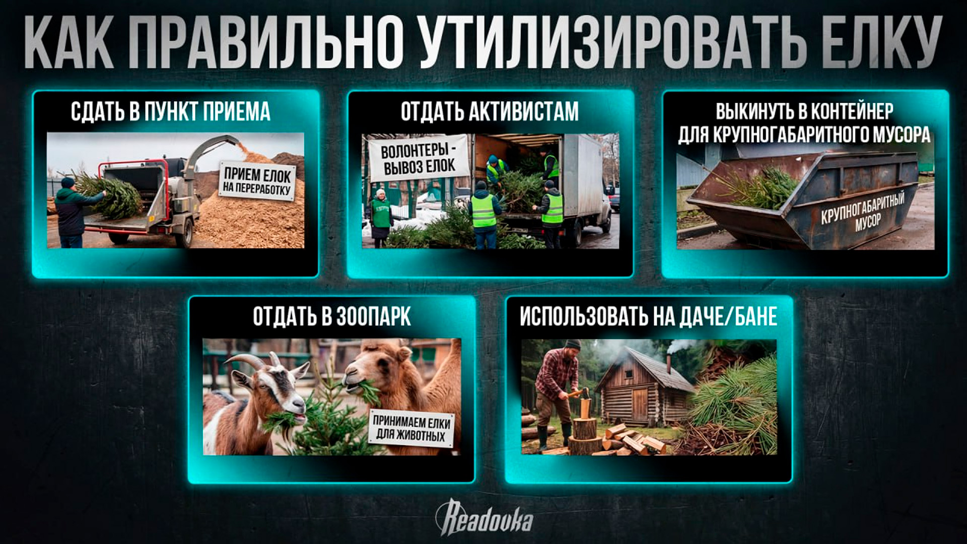 Куда девать новогоднюю елку после праздников, выяснила Readovka