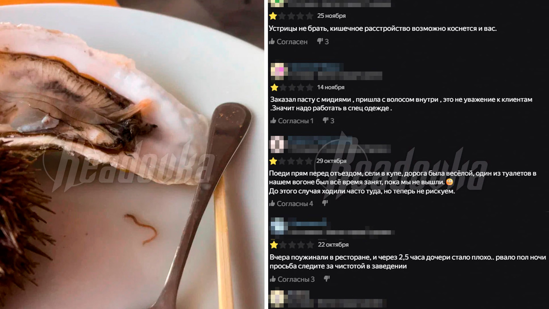 Сочинский ресторан морепродуктов стал рассадником инфекций