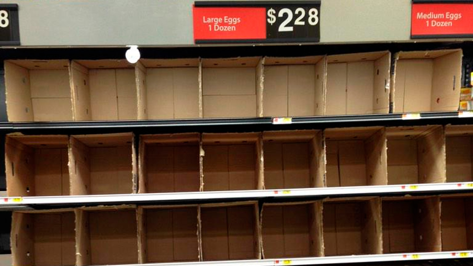 Жители Нью-Йорка ринулись в магазины в преддверии снежной бури