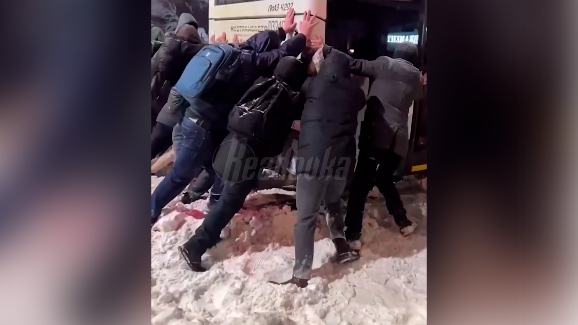 Жители Подмосковья дружно вышли на помощь общественному транспорту