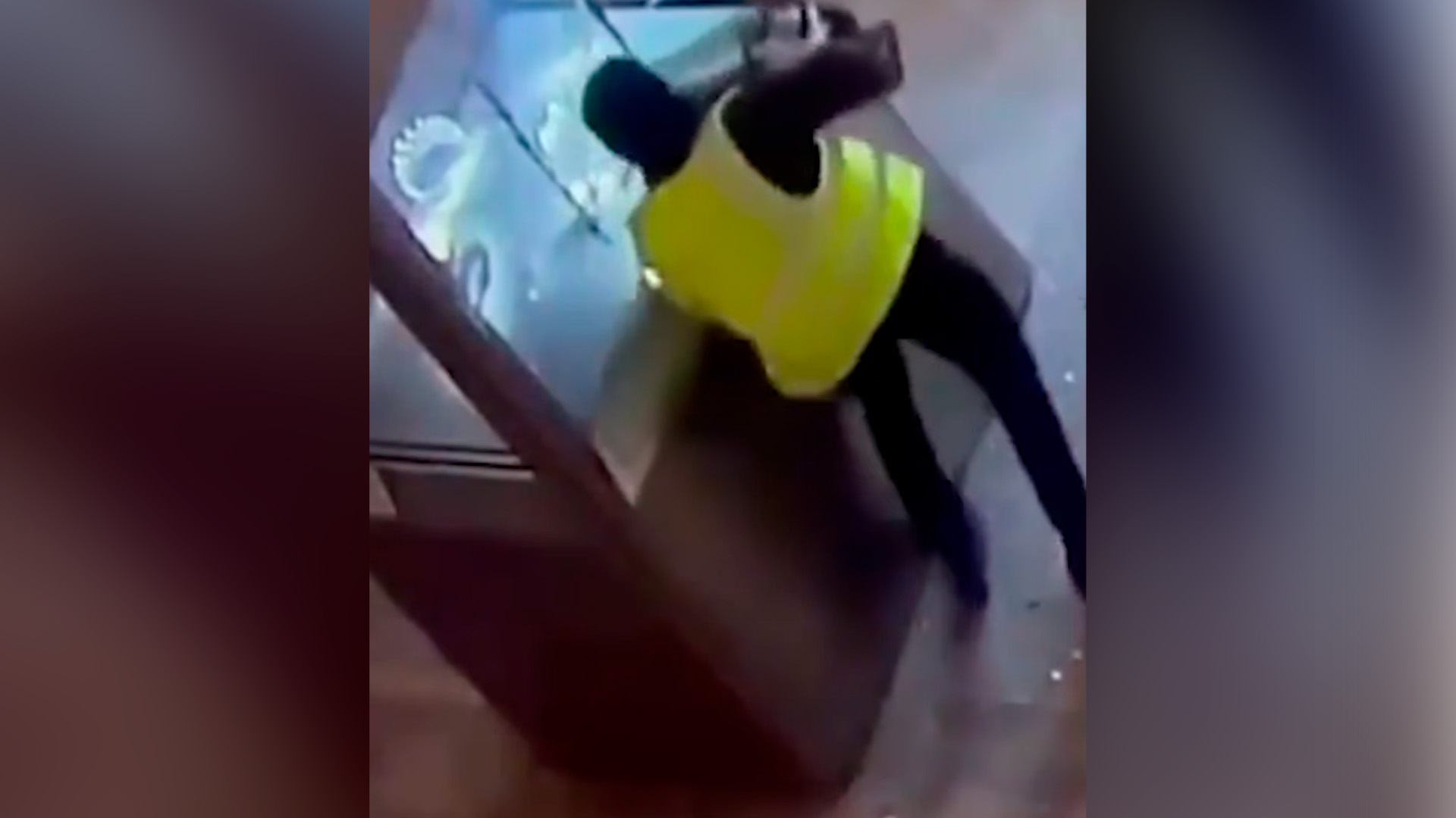 Появились новые кадры ограбления Лувра