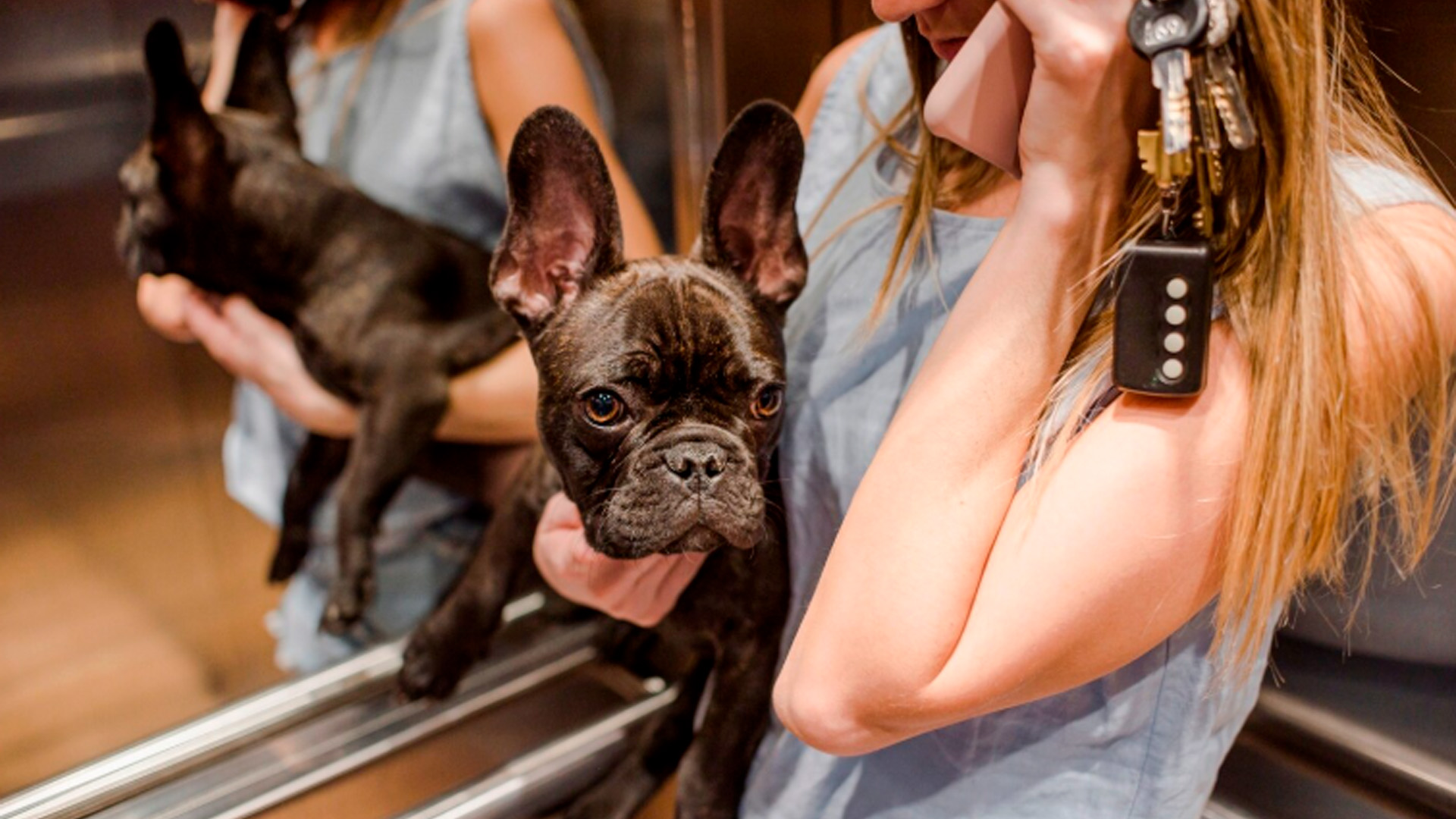 Во сколько обойдется содержание обычных и элитных собак в год, выяснила Readovka