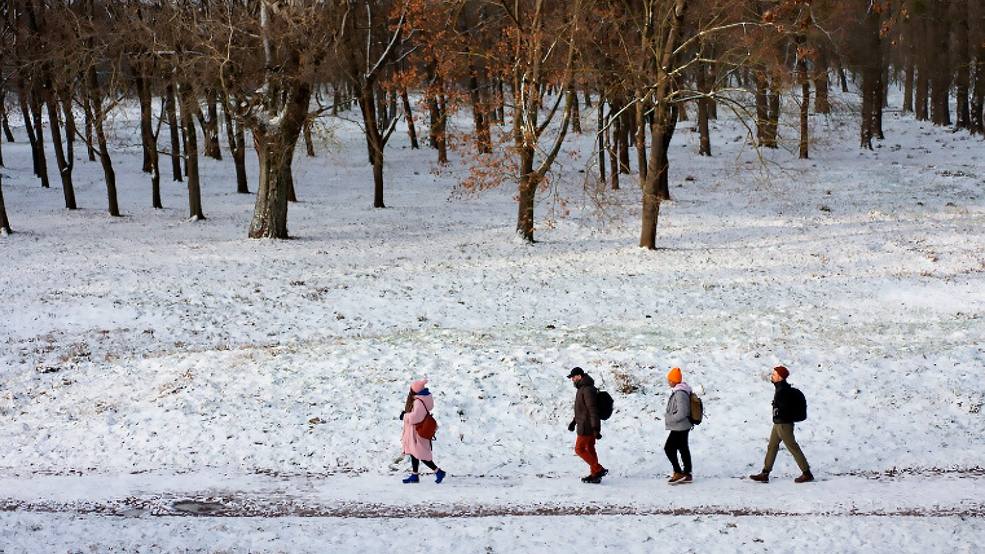 Работодателей призвали отправлять сотрудников на удаленку в период снежного коллапса