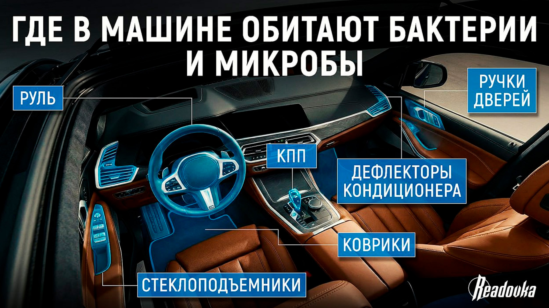 «Грязнее общественного туалета»: аллерголог назвала салон автомобиля рассадником микробов