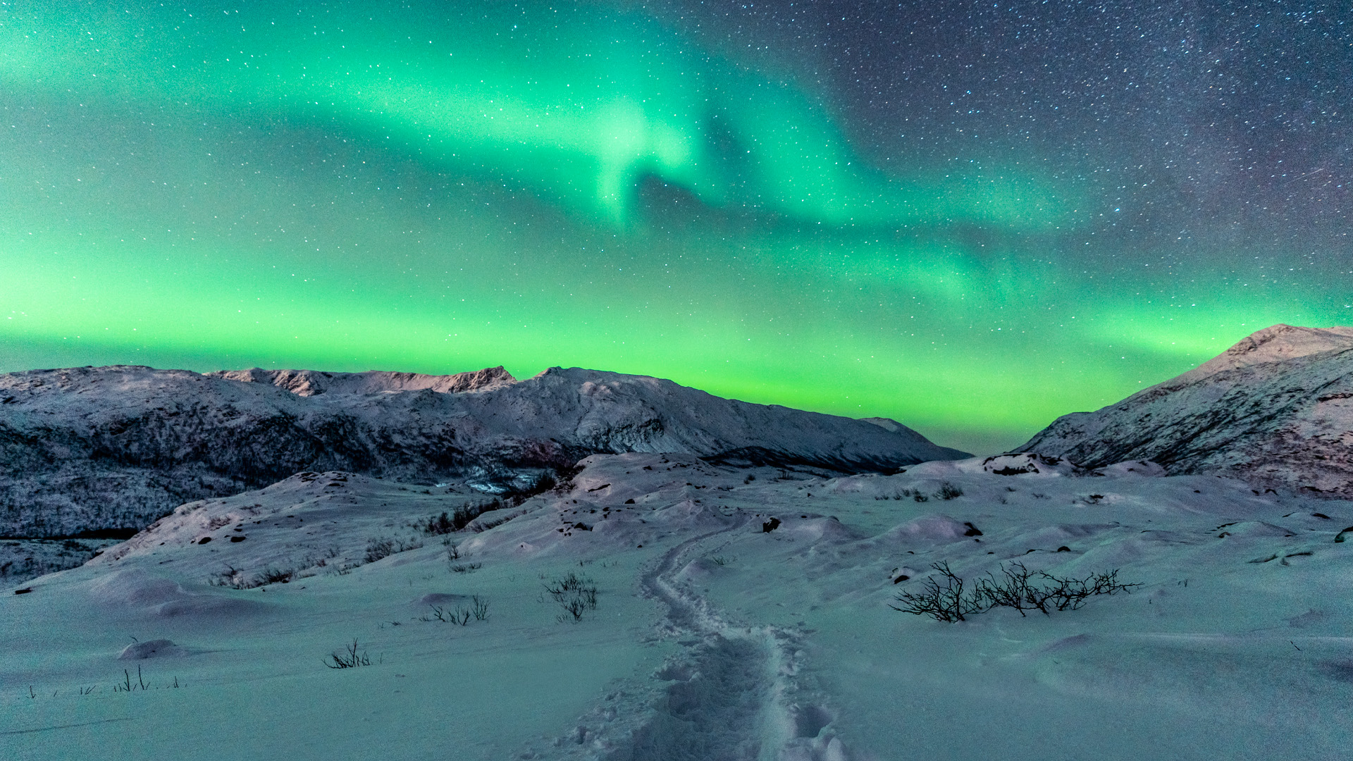 Цены на туры за северным сиянием взлетели из-за китайцев и дефицита отелей