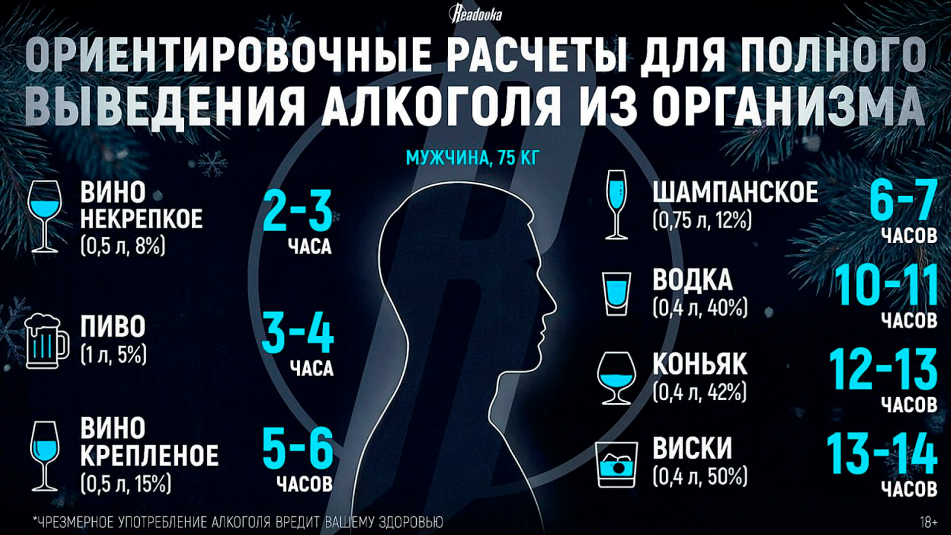 Через сколько можно сесть за руль после новогоднего застолья, узнала Readovka