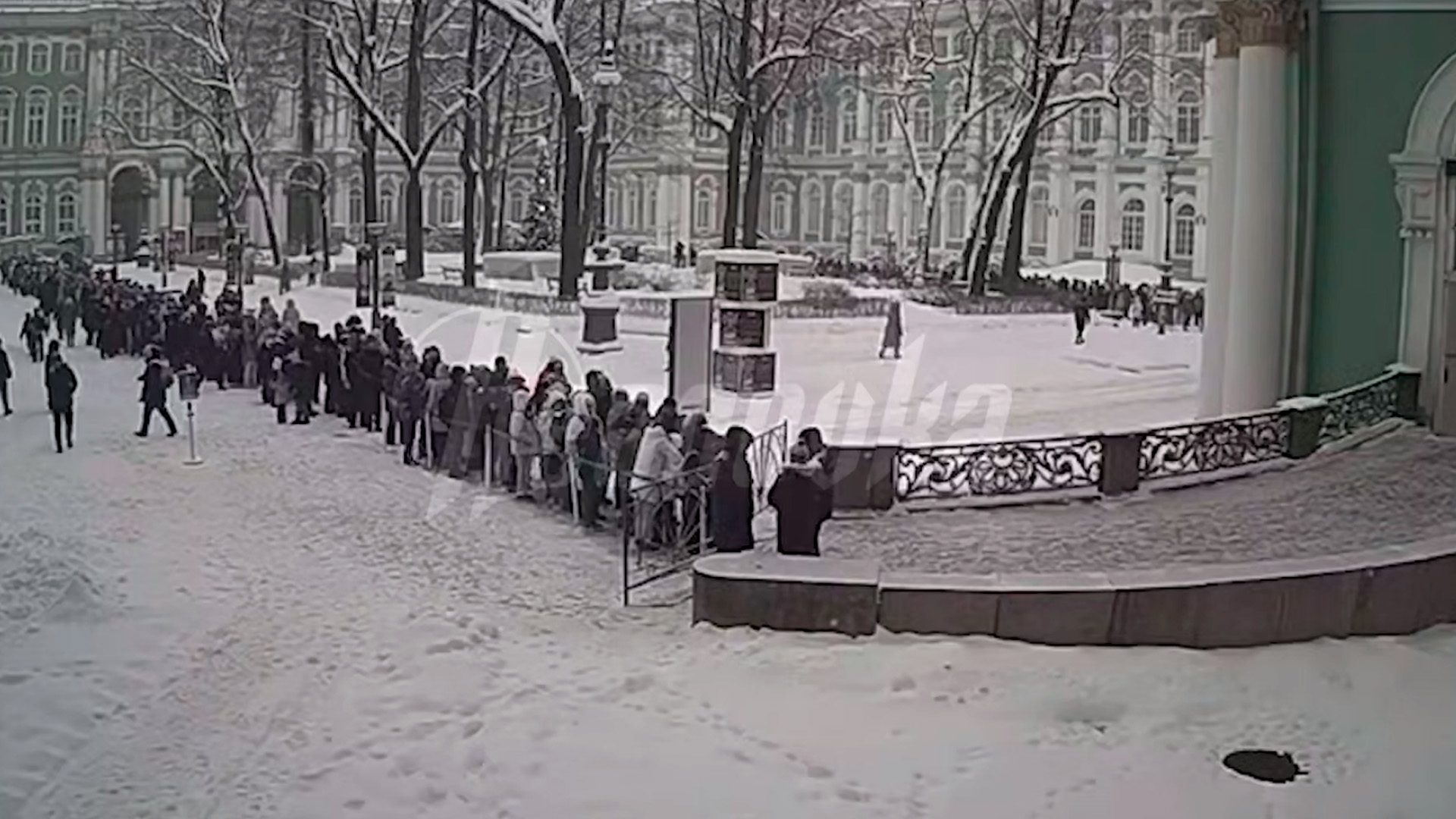 В Эрмитаже выстроились гигантские очереди из-за бесплатного входа в Рождество