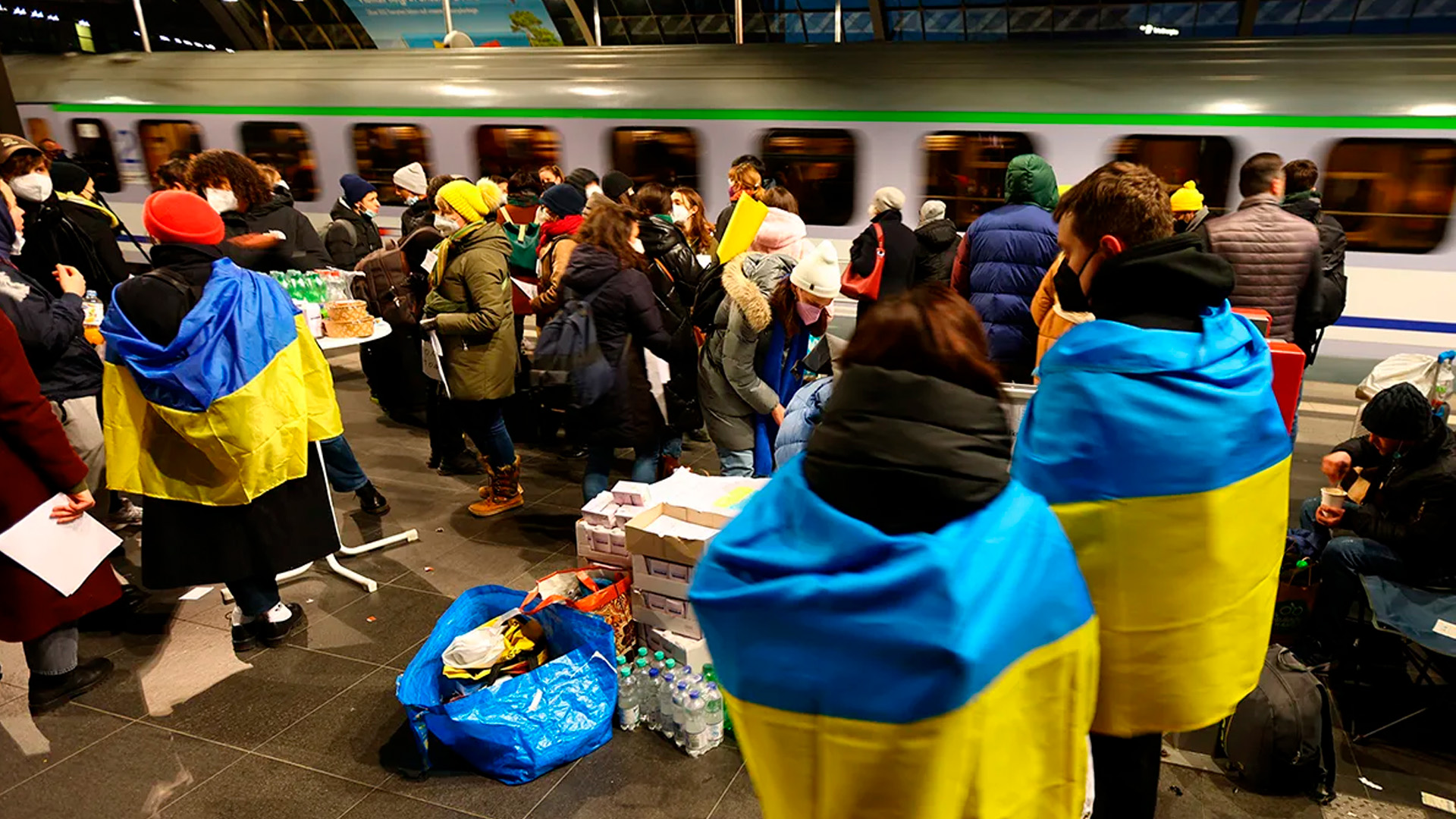 МВД: около 100 тыс украинцев запросили убежище в России с 2022 года