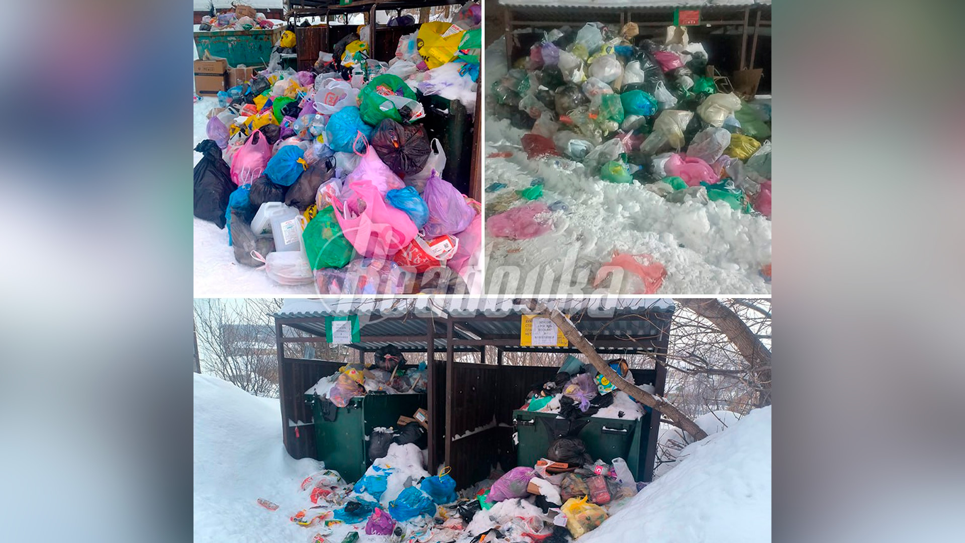 Мусорный коллапс захватил Арзамас