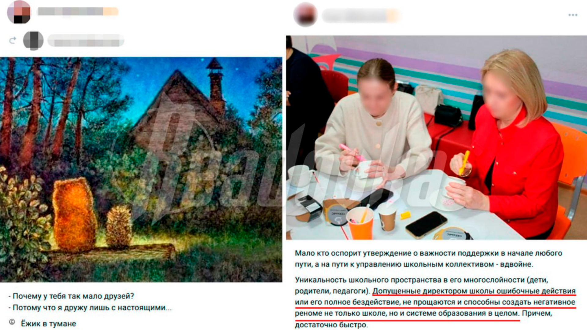 Учителя и администрация томской школы травили коллегу с тяжелым заболеванием