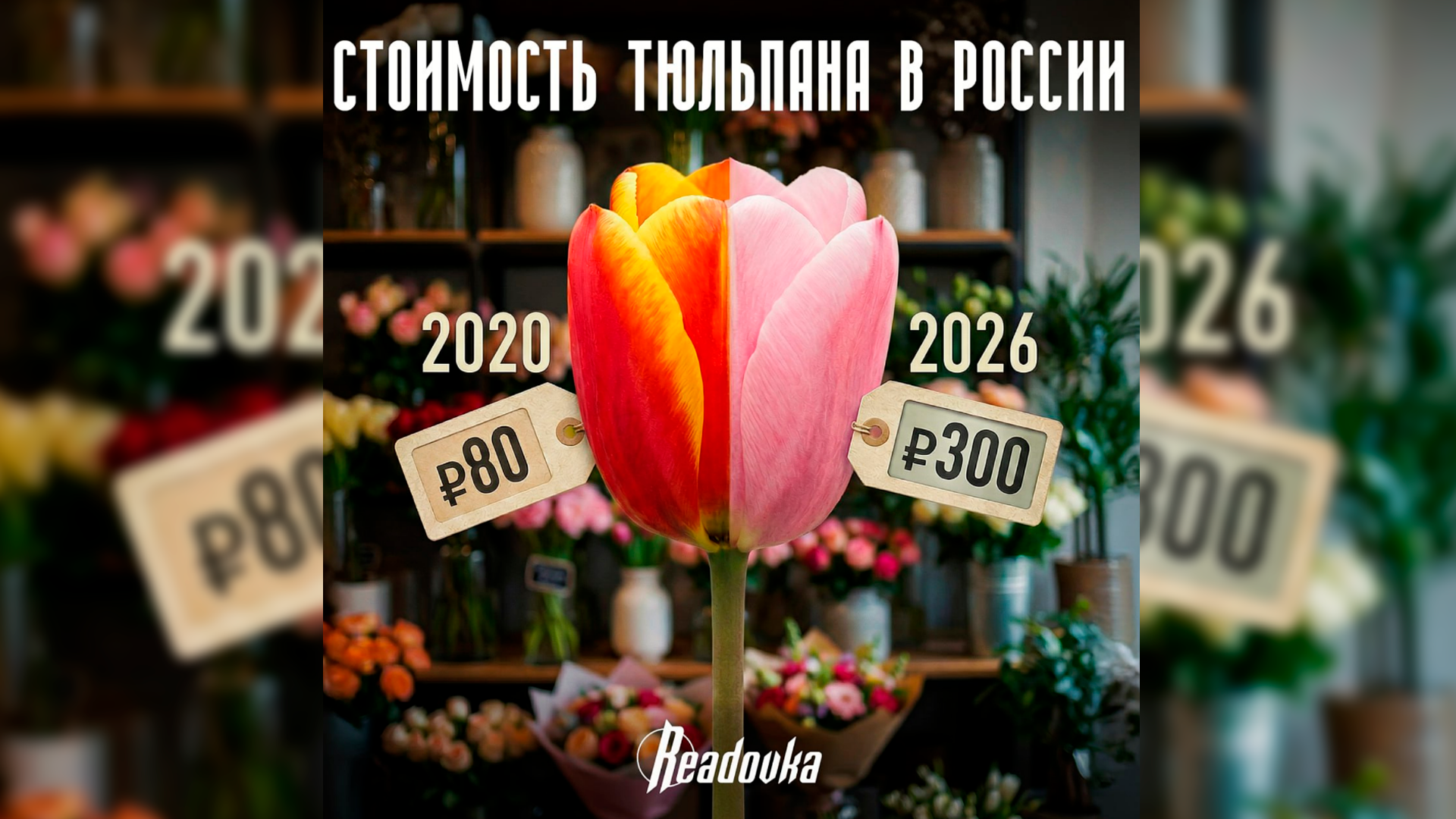 Цветочный кризис: к 8 Марта букеты подорожают на 15%