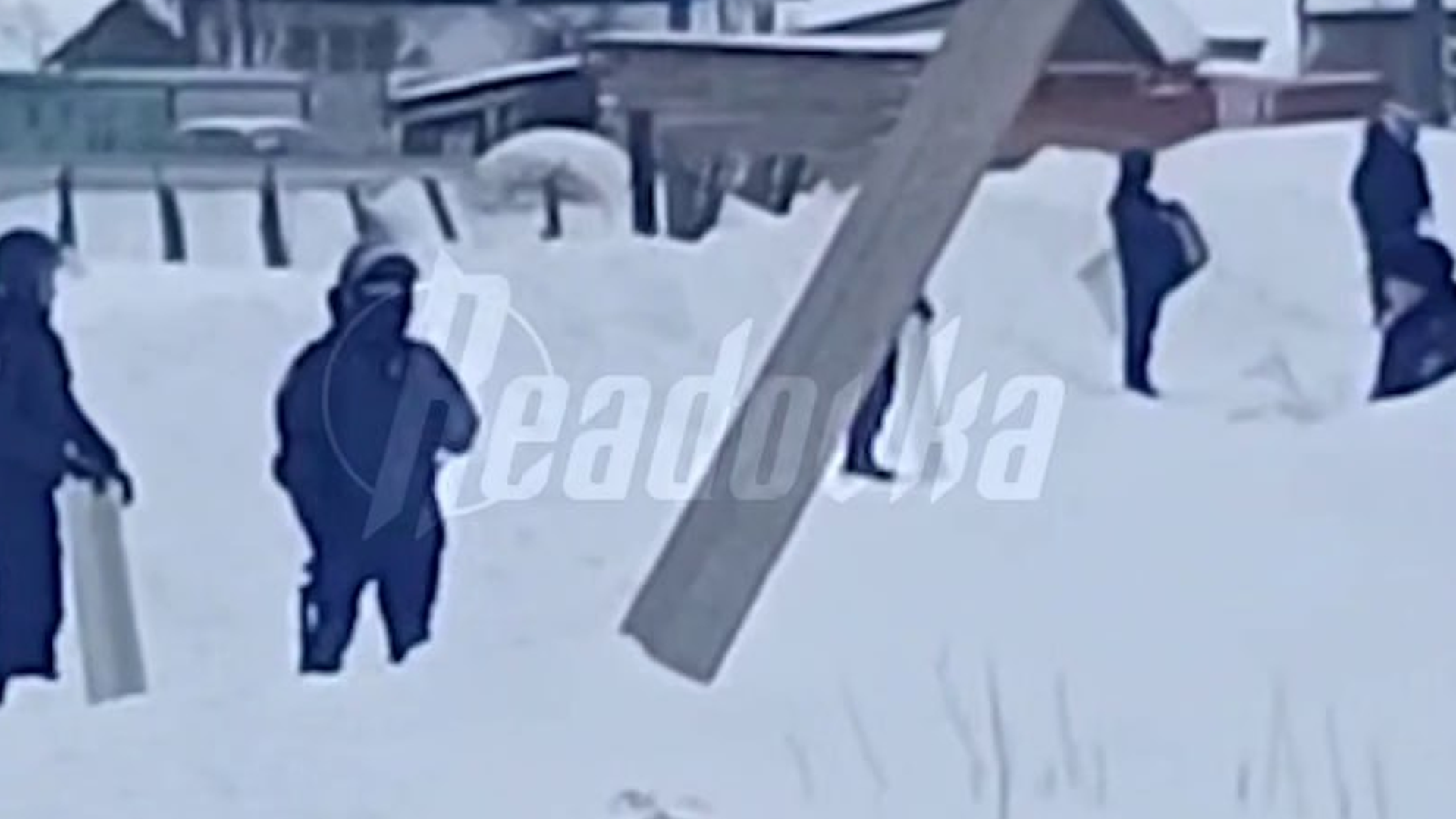 В Новосибирской области продолжилось уничтожение домашнего скота