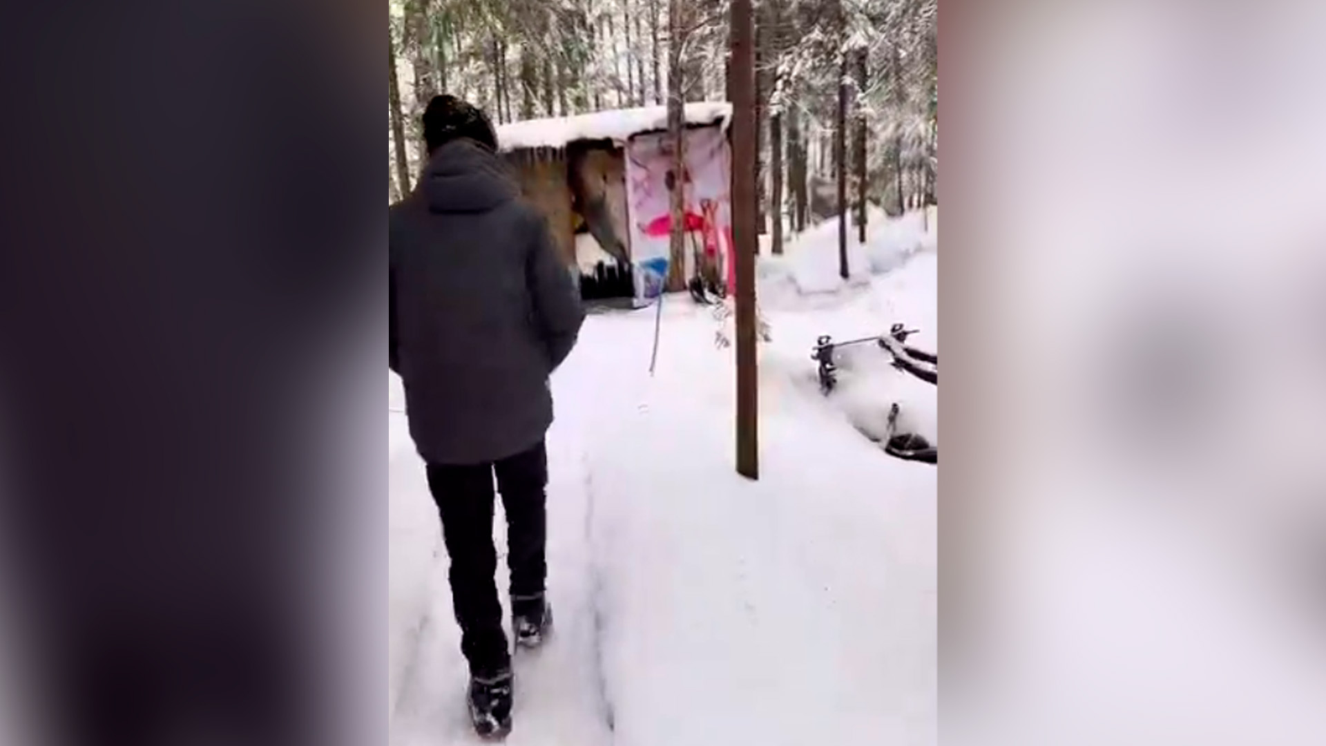 Мужчина 8 лет скрывался от следствия в тайге