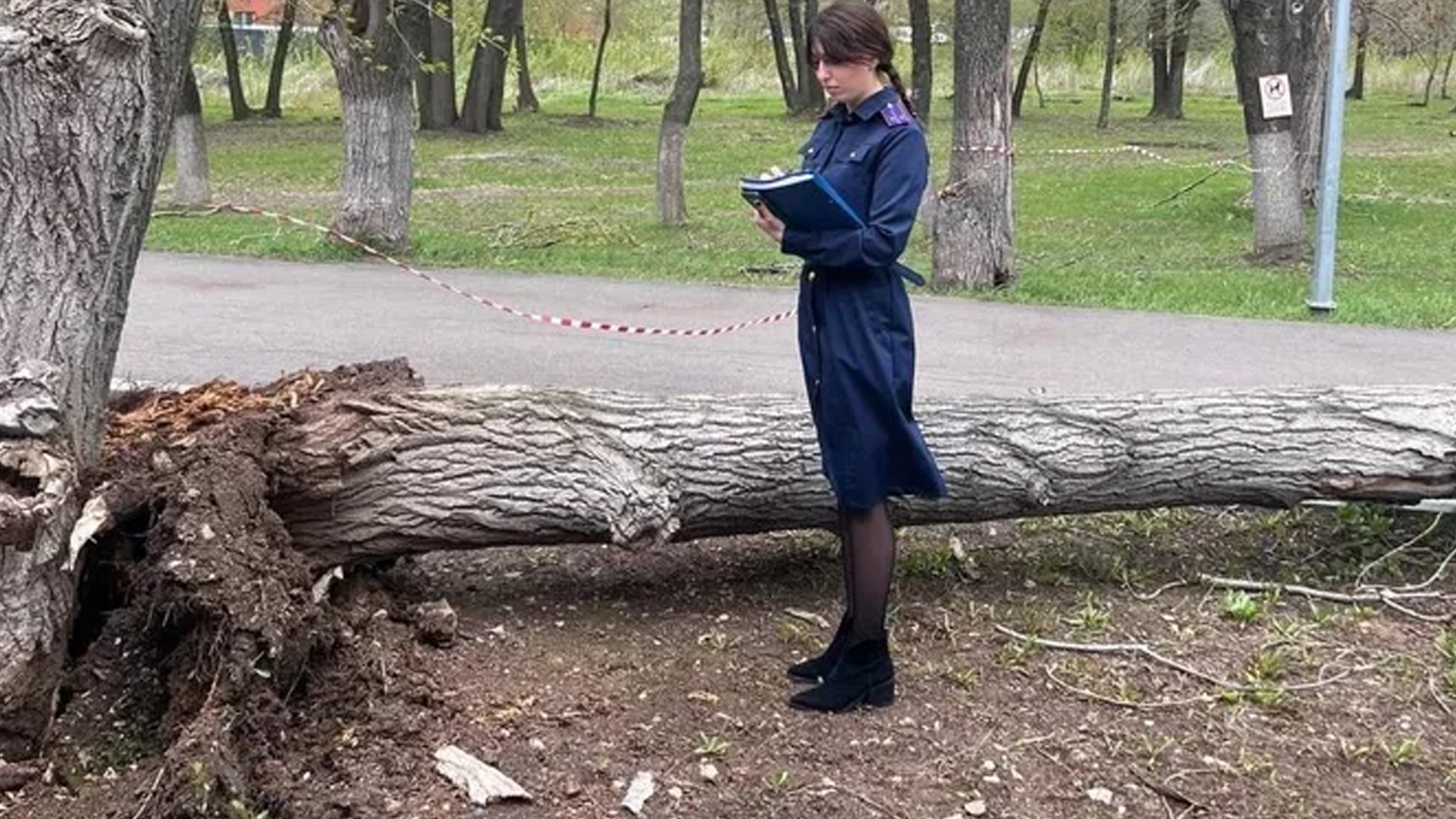 Ребенок погиб при падении дерева в Самаре