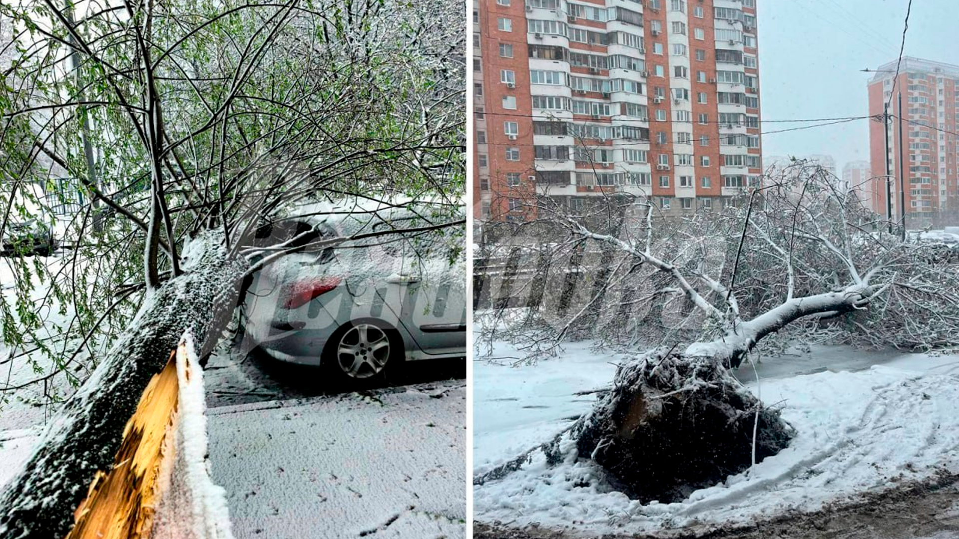 Сильный снегопад и ветер до 23 м/с: москвичей предупредили о резком ухудшении погоды