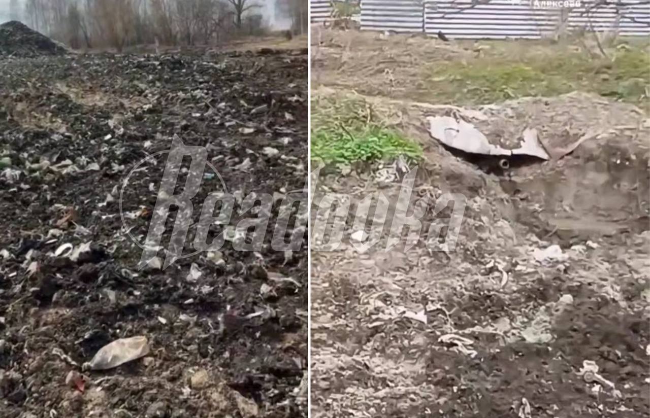 Жизнь на мусорной свалке: жители Дзержинска и Омска пытаются бороться с залежами мусора