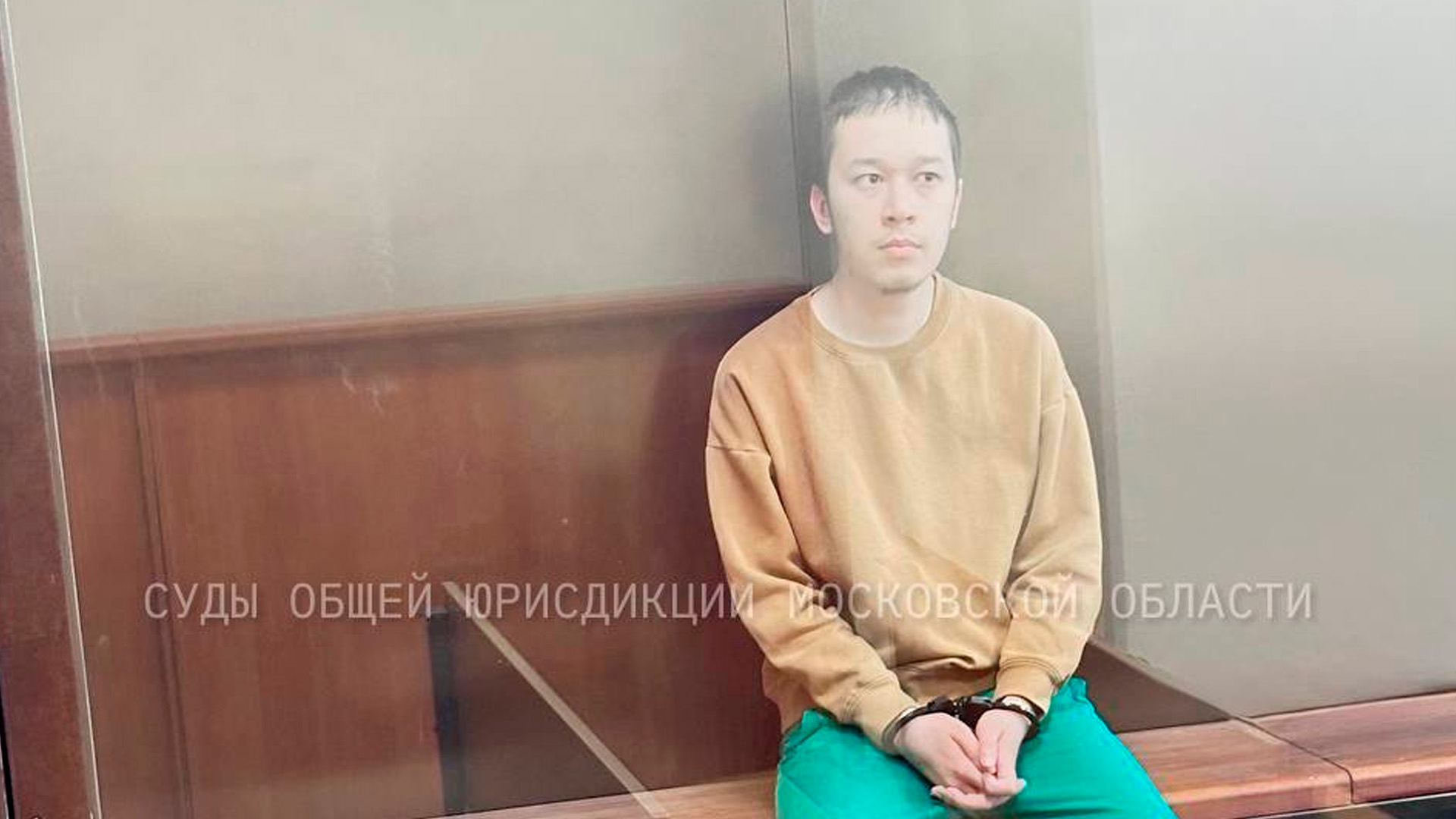 Мужчину, попытавшегося зарезать девочку в Подмосковье, отправили в СИЗО