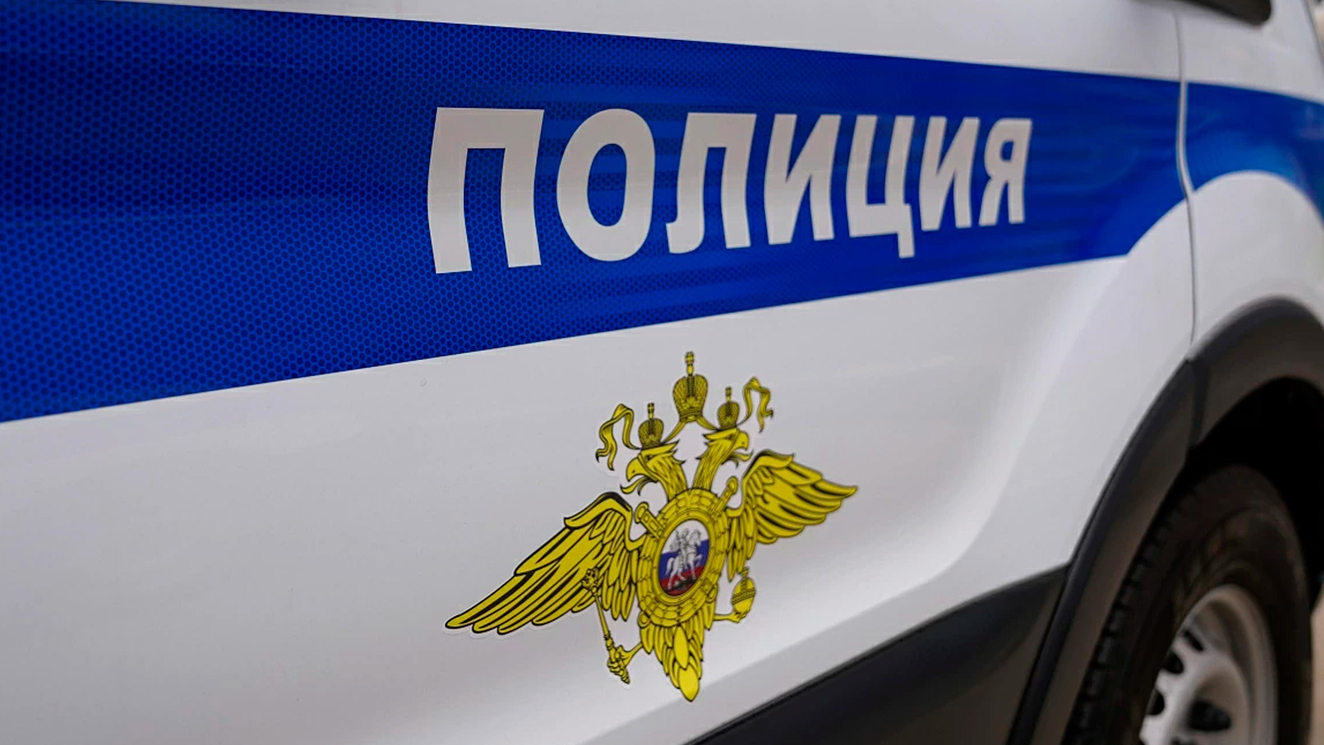 Из-за шутки в чате подростки избили сверстницу в Новосибирске