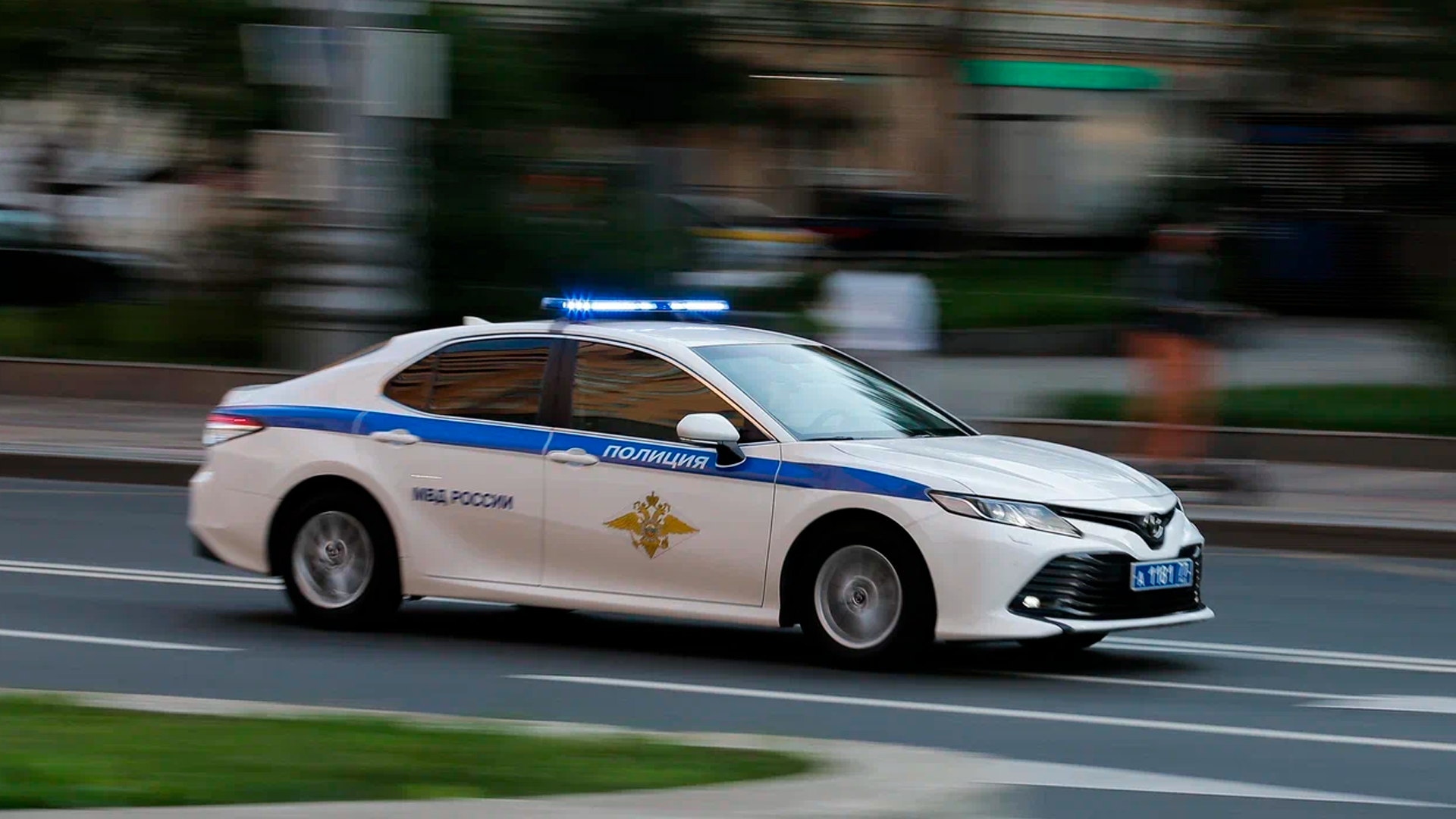 В МВД решили оказать содействие в решении проблемы блогера Черкашина