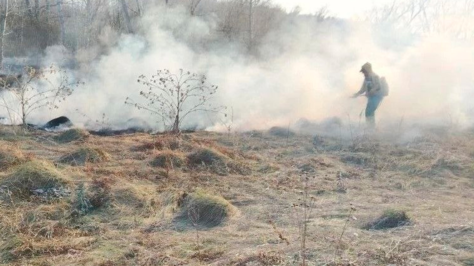 Туристы случайно сожгли 17 га леса в Красноярском крае