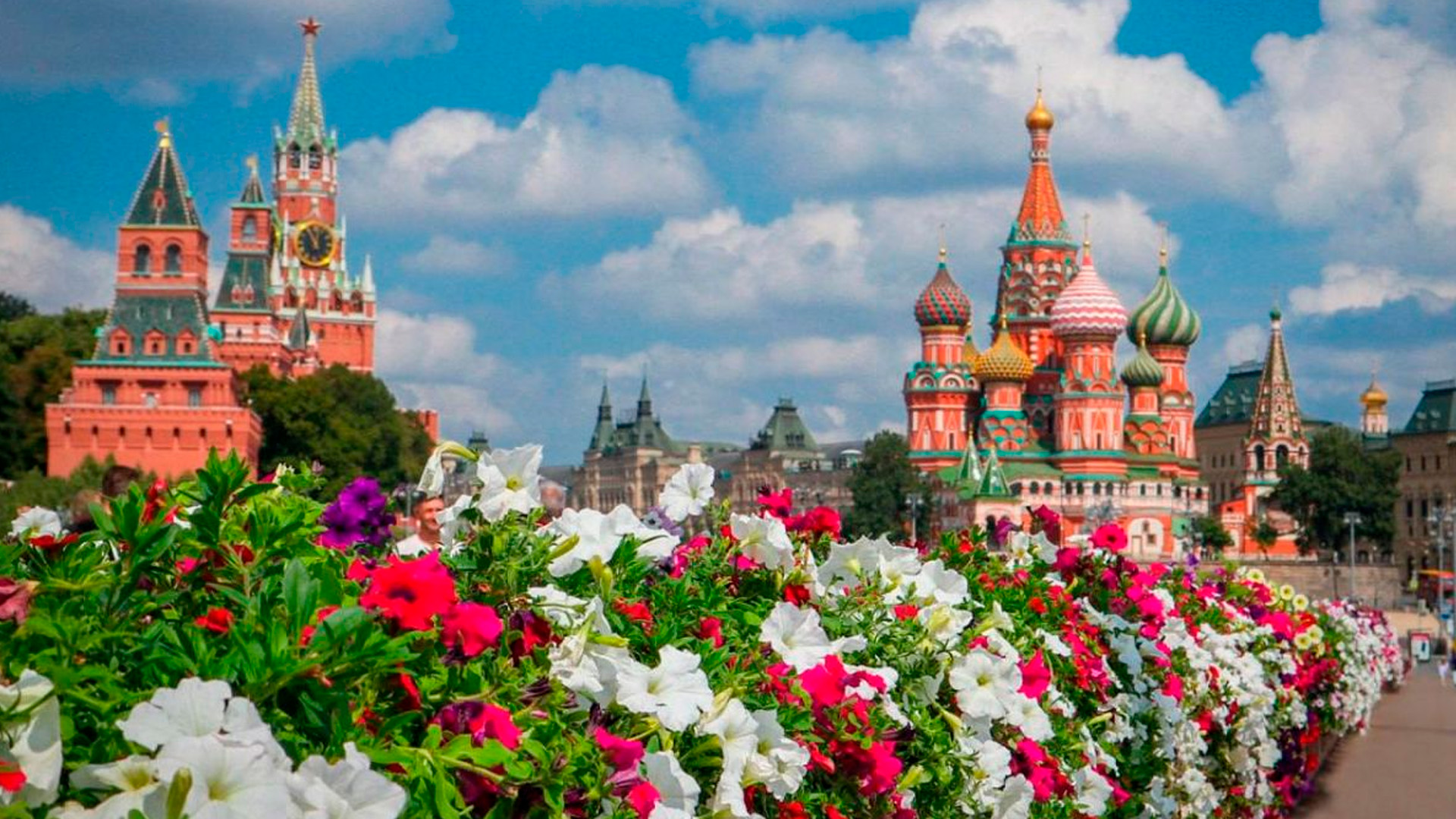 Жителям Центральной России пообещали летнее тепло