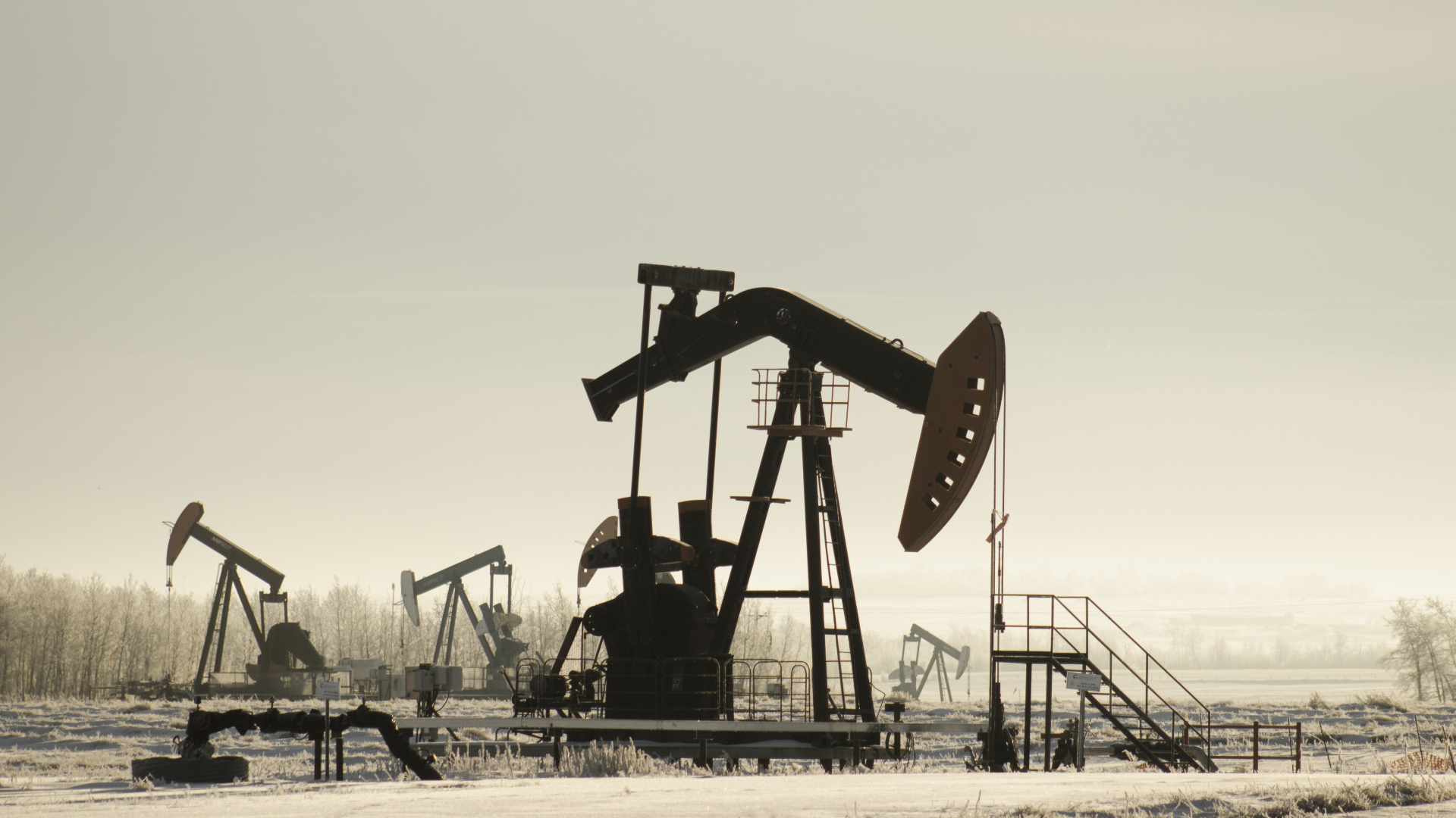 Черное золото с нами надолго: российская нефтяная отрасль должна адаптироваться к меняющимся реалиям