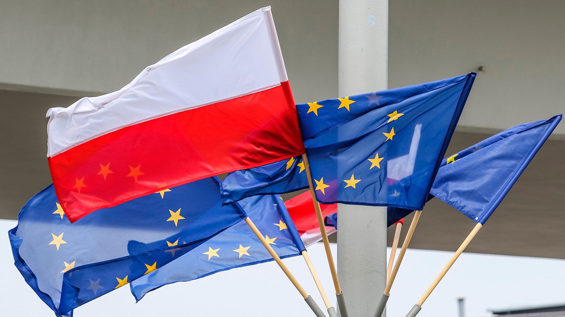 В Польше призвали закрыть Украине путь в ЕС из-за героизации нацистов