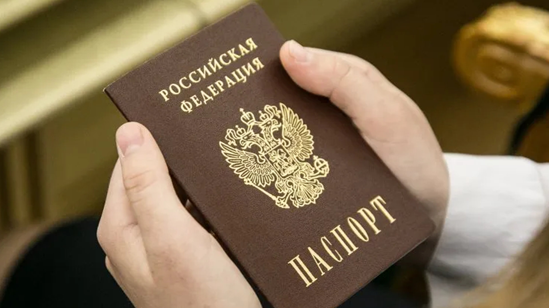 Более 4,5 тыс человек лишились приобретенного гражданства РФ с 2023 года
