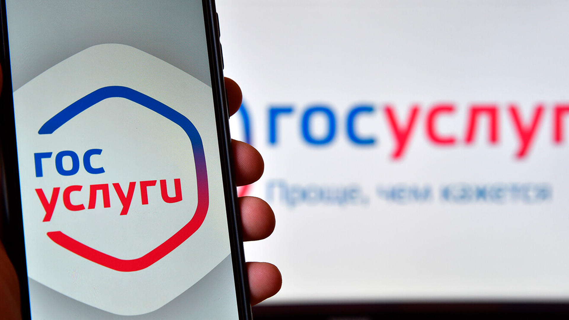 Сервис поиска и покупки мест на кладбищах появится на «Госуслугах»