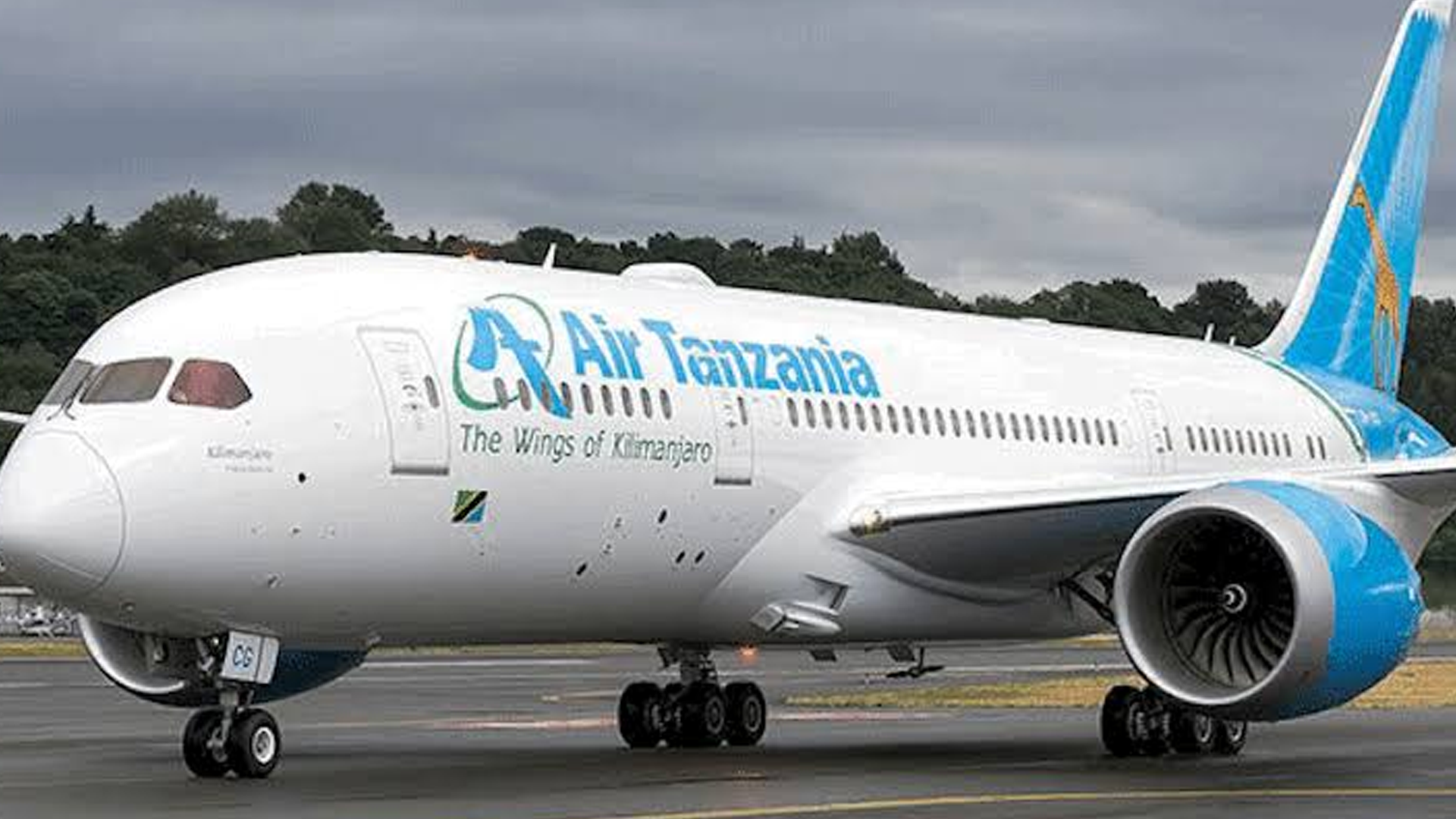 Air Tanzania приостановила выполнение рейсов в Москву