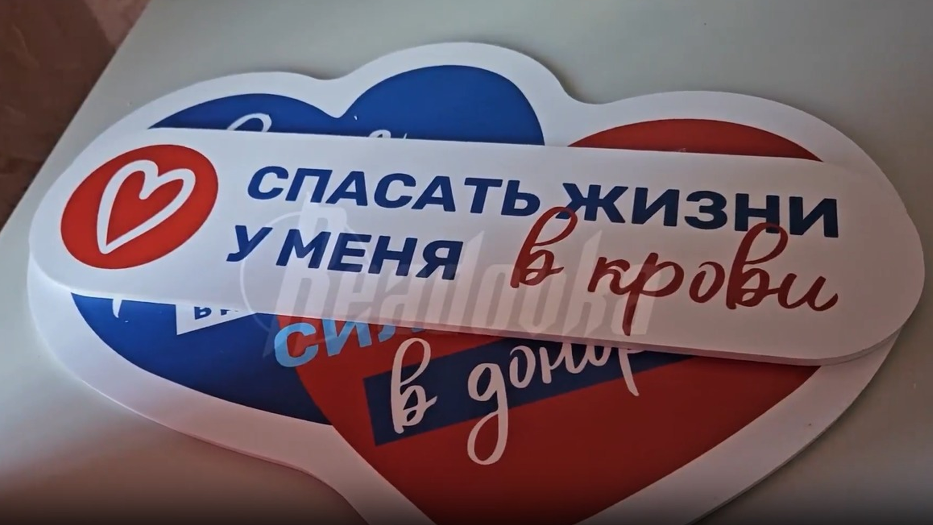 Кровь во спасение: как работает Республиканский центр крови ДНР
