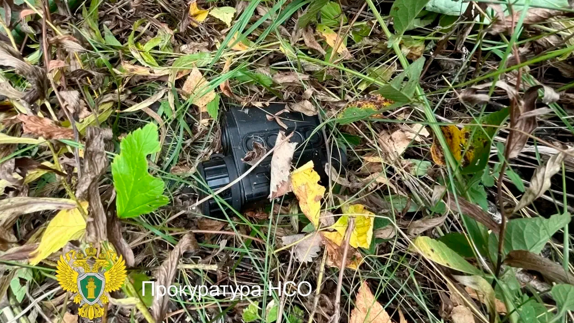 Охотник из Новосибирской области застрелил знакомого, приняв его за медведя