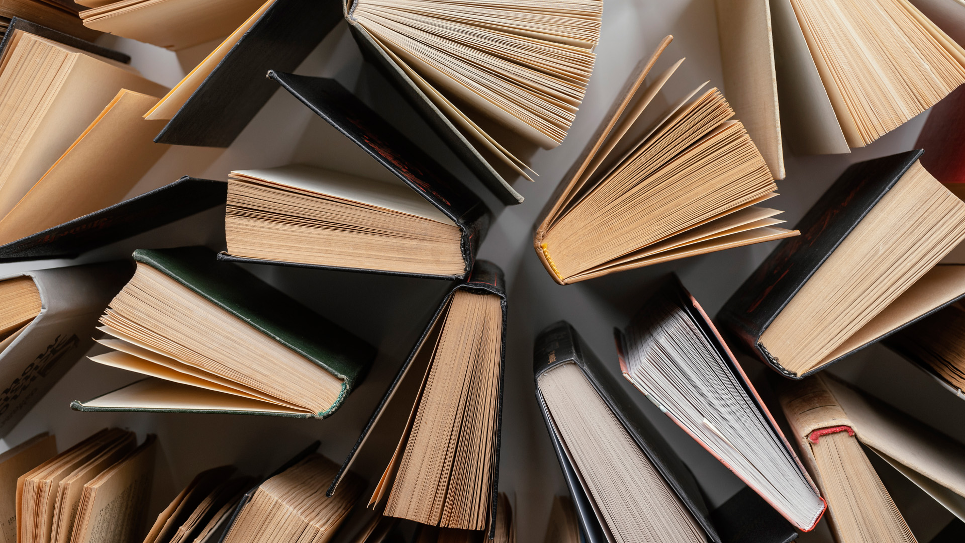 Булгаков, Пушкин и Донцова: россияне составили топ книг для зарубежных читателей