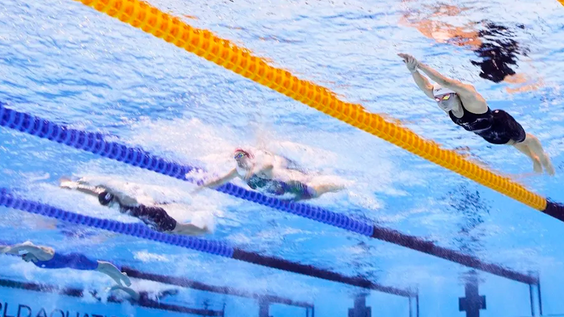 World Aquatics обязала организаторов международных турниров выдавать визы спортсменам из РФ и Белоруссии