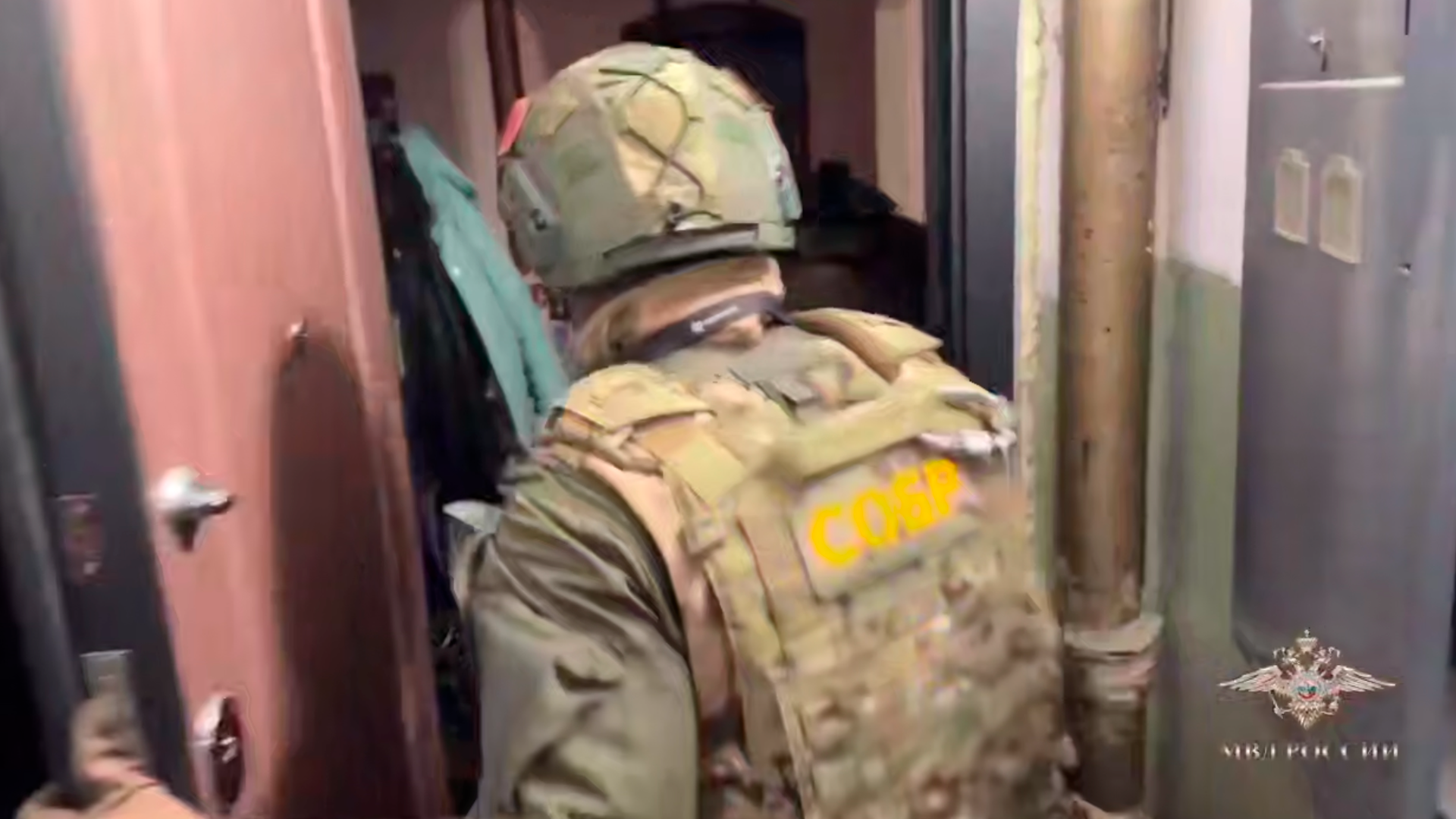 Алтайский хакер с помощью ИИ взломал базу данных одной из пиццерий
