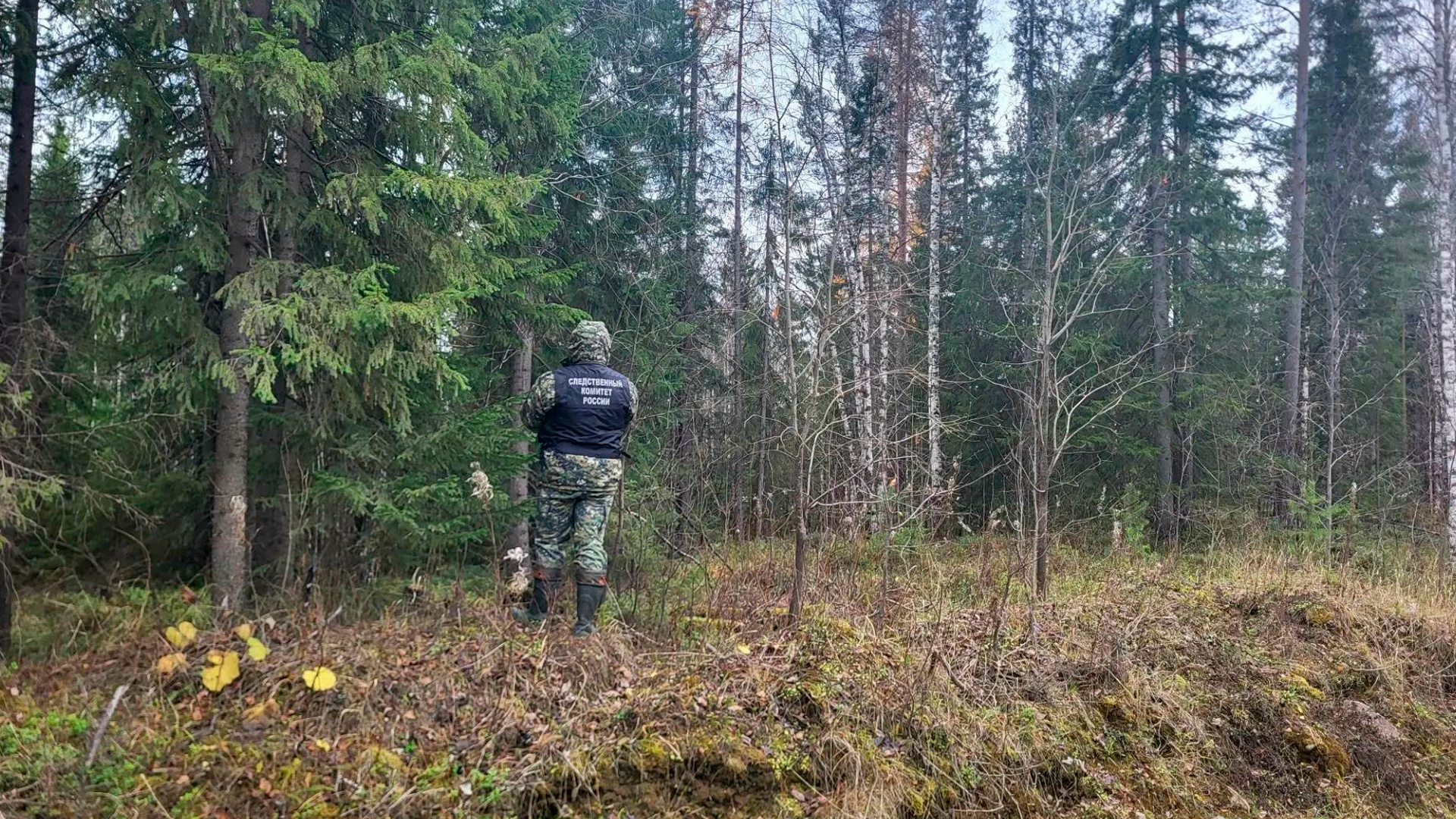 В Архангельской области обнаружили тело мужчины, задранного медведем